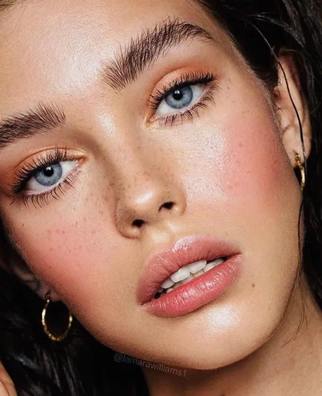 Top Model’s Guide1